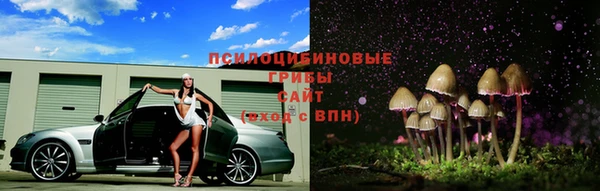 хмурый Инсар