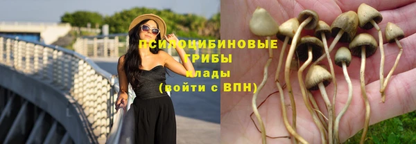 прущая мука Инта