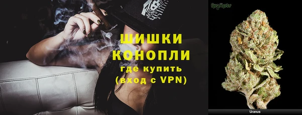 прущая мука Инта