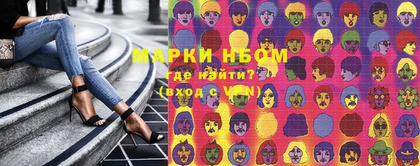 хмурый Инсар