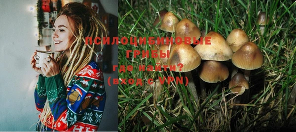 гидра Иннополис