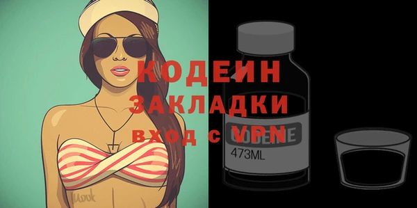 хмурый Инсар