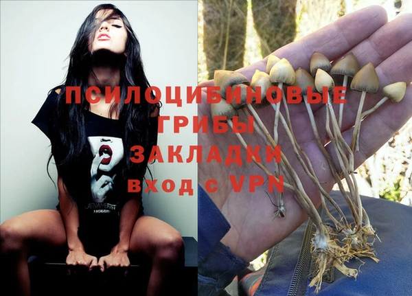 гидра Иннополис