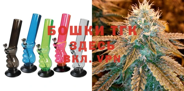 хмурый Инсар