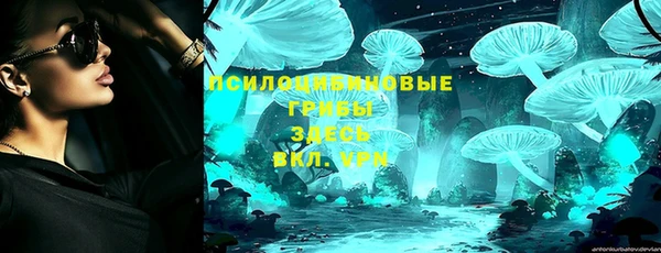 хмурый Инсар