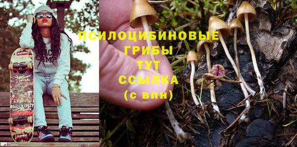 прущая мука Инта