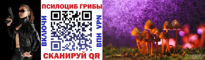 Галлюциногенные грибы MAGIC MUSHROOMS  Купить где  Талдом 